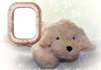 Photo effect from category My toys and pets № 169102 Photo effect from category My toys and pets № 169102