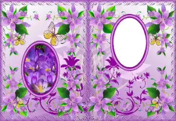 Photo effect from category DVD covers № 183322 Photo effect from category DVD covers № 183322