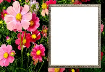 Photo effect from category Women's photo frames № 206194 Photo effect from category Women's photo frames № 206194